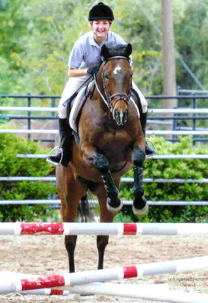 Susan Friend Wins Blue Ribbon